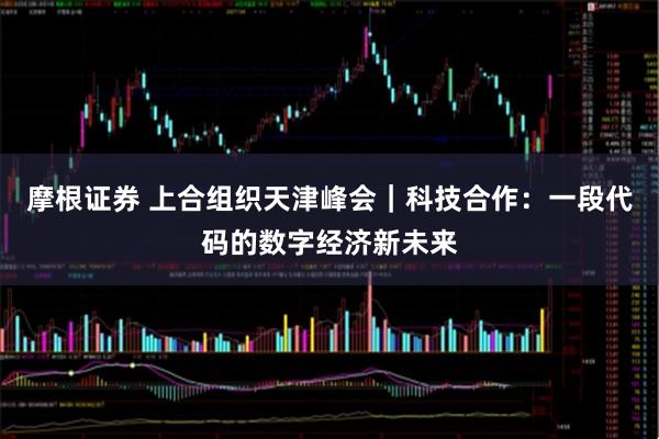 摩根证券 上合组织天津峰会｜科技合作：一段代码的数字经济新未来