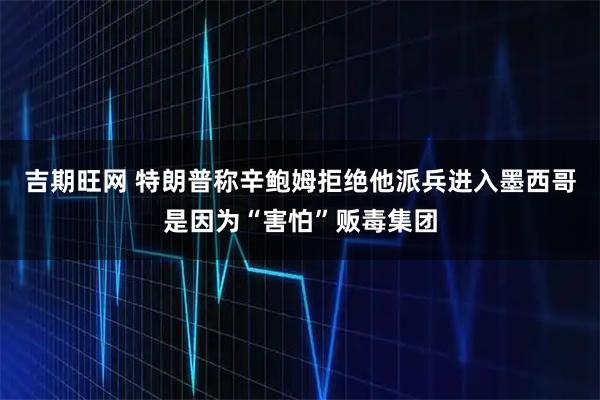 吉期旺网 特朗普称辛鲍姆拒绝他派兵进入墨西哥是因为“害怕”贩毒集团