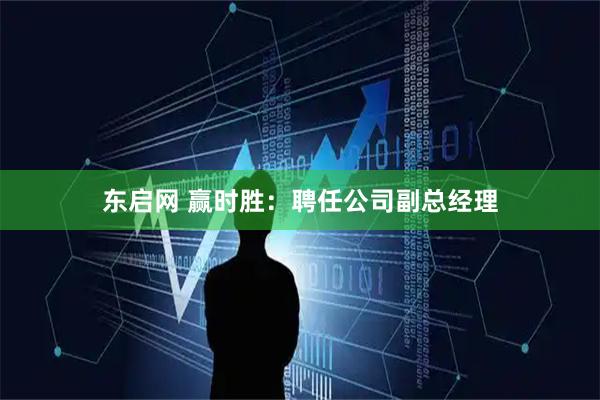 东启网 赢时胜：聘任公司副总经理